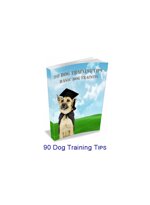 90-dog-training-tips