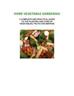 home-vegetable-gardening