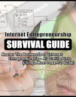 internet-entrepreneurship-survival-guide