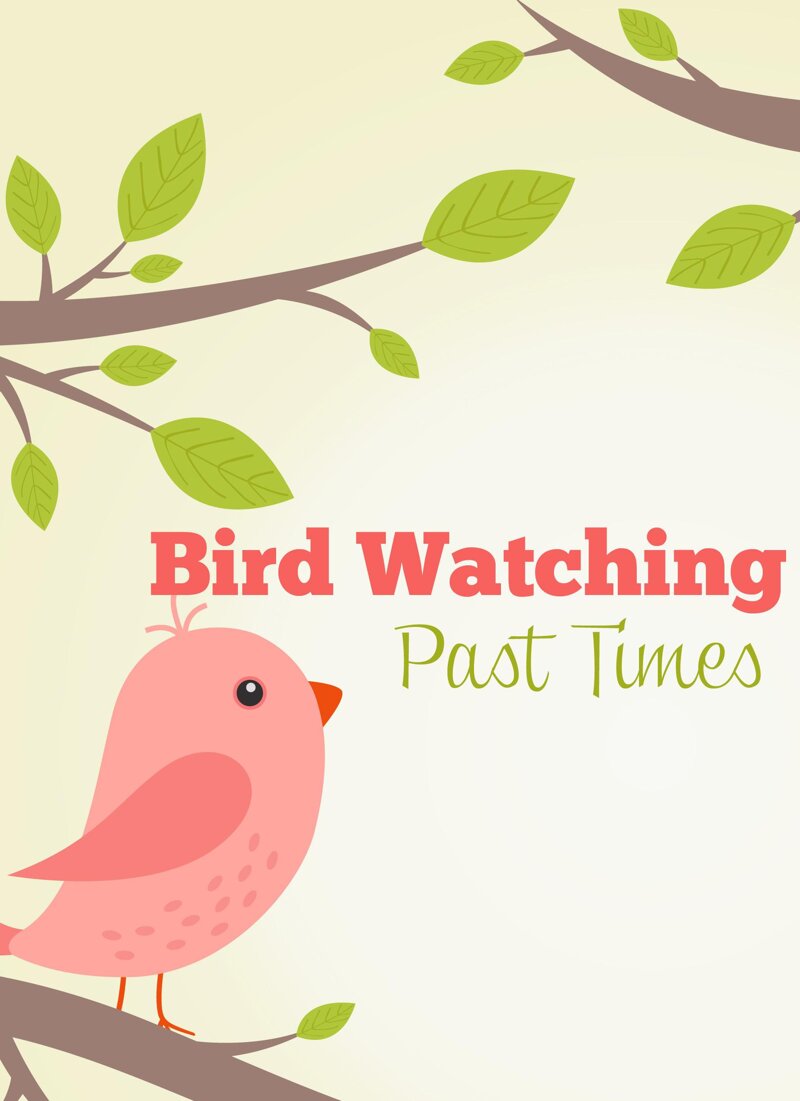 bird-watching-past-times