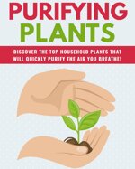 purifying-plants