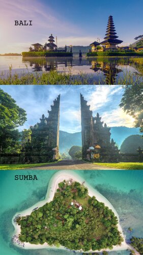 bali + sumba.jpeg bali + sumba.jpeg