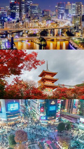 osaka.jpeg osaka.jpeg