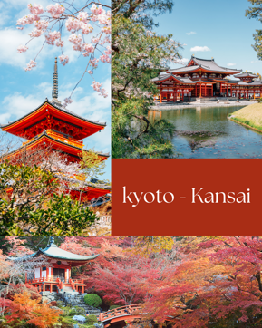 interiors-3 interiors-3