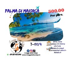 palma offerta sito.jpeg palma offerta sito.jpeg