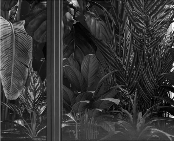 9a683f14-9f74-4a99-87fb-7815f07739cb