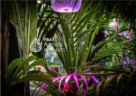 f078e1cc-55ee-42d9-a219-7978715b17b0