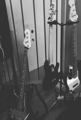 501431546_10232386577462006_4378926003764513606_n.jpeg 501431546_10232386577462006_4378926003764513606_n.jpeg