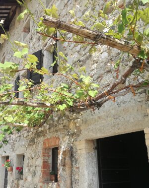 Bersò e stalla primavera