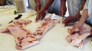 70ac9f20-ec51-4776-868b-f75029787843