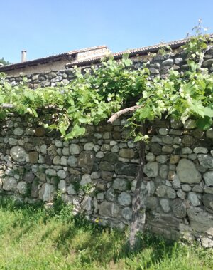 Bersò e cortile farie primavera