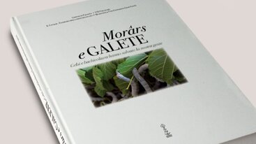 a082935b-0bac-4d2c-8965-e788bd419a80