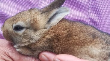 362a770a-4c2f-4982-899f-b34d2b9b7237