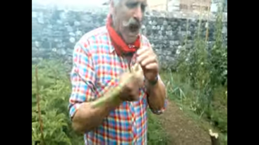 c68db7ed-1626-4dff-99c6-6f90a7e46fba