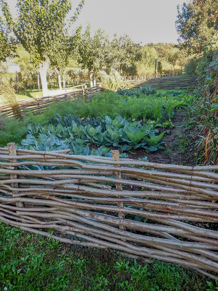 f234a13d-9424-4f3b-9d1a-287fa55dc21c