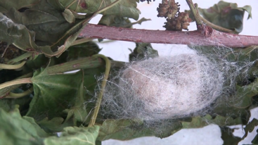 41396114-c72f-4362-9829-d52e97043f1c