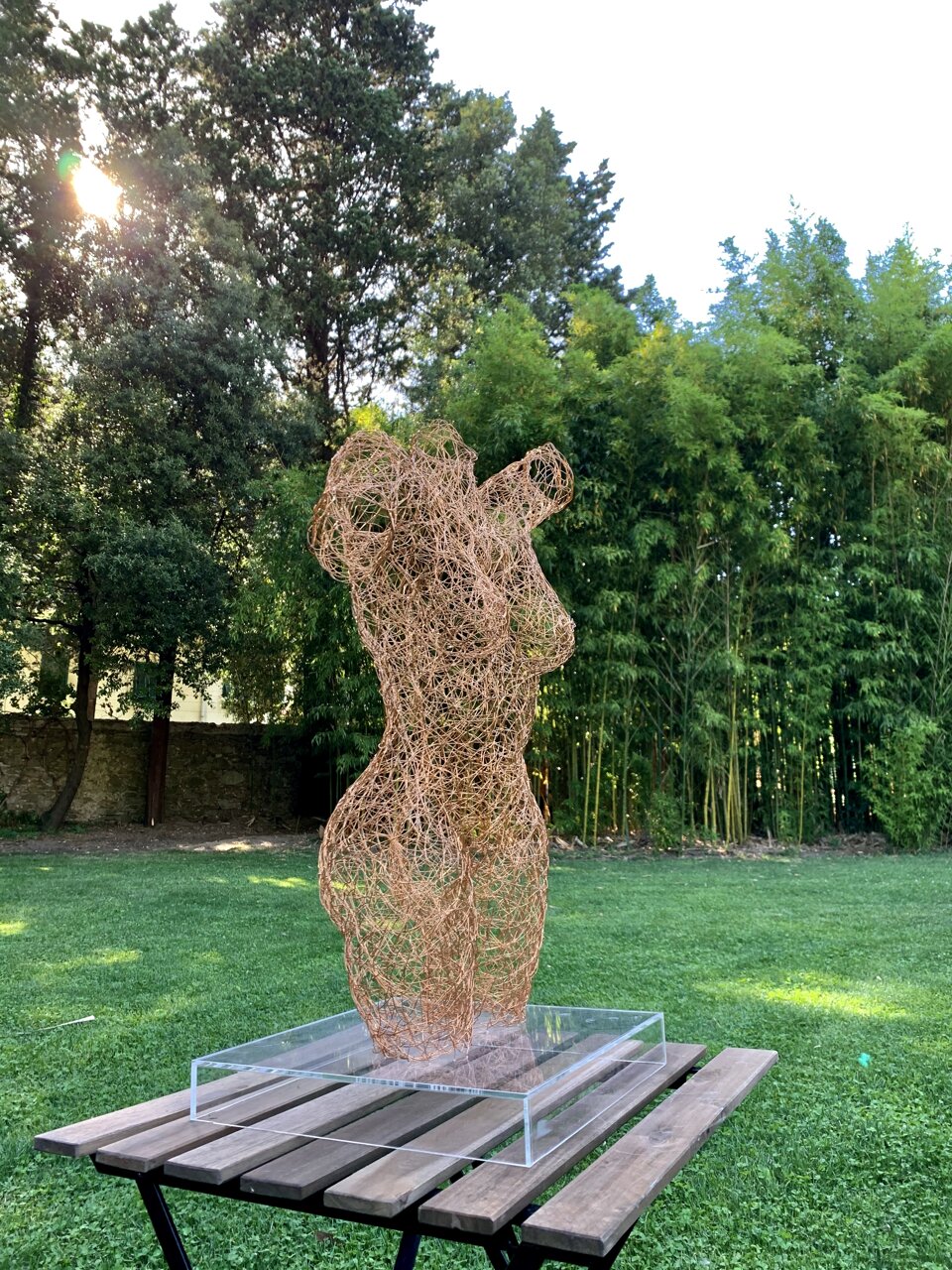 Galatea Galatea