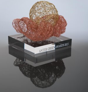 2015 - filo di rame, filo d'ottone, plexiglass - cm. 20x20x18 - sculture trofeo (collezioni private)