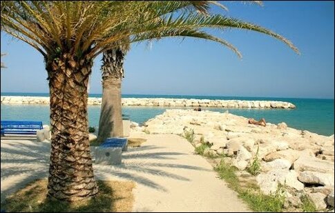 pedaso_3_palme_scogli_ridotta