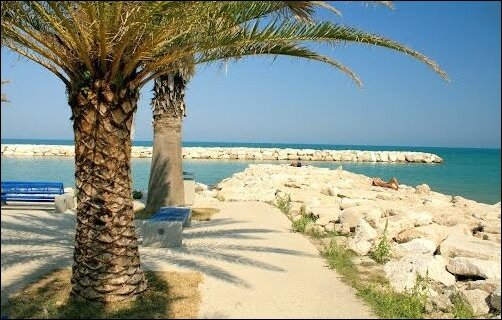 pedaso_3_palme_scogli_ridotta