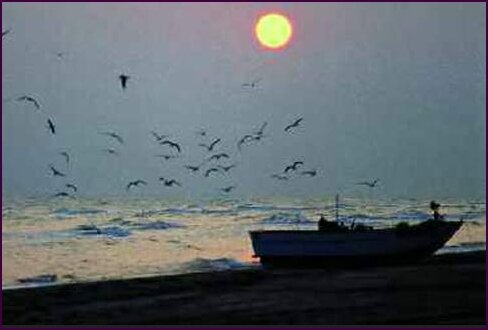 74670748-7e58-4b99-ac9a-4419c7be19c1