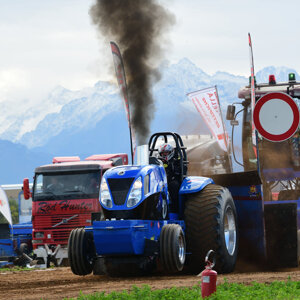 Ancarani Andrea - Toro Blu