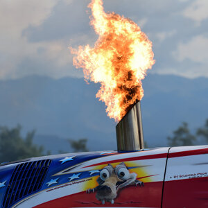 Pellegrino Mauro - Stars and Stripes