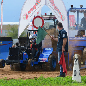 Pellegrino Adriano - Muschin