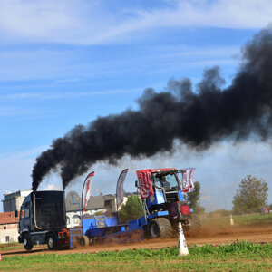 Lanfranchi Giovanni - Monster Black