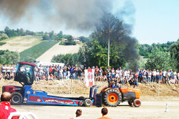 11831790_1651474415090664_6960469375124486778_n