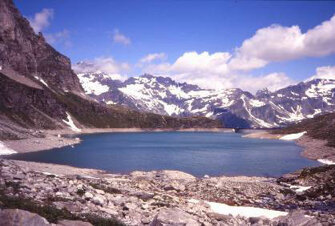 1lagodavino