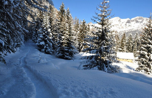 arrivoaprdelbosco_1