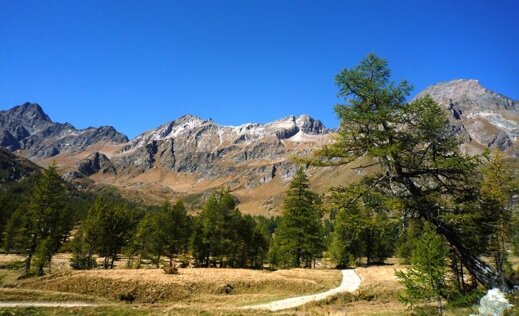 pianadelalpeveglia