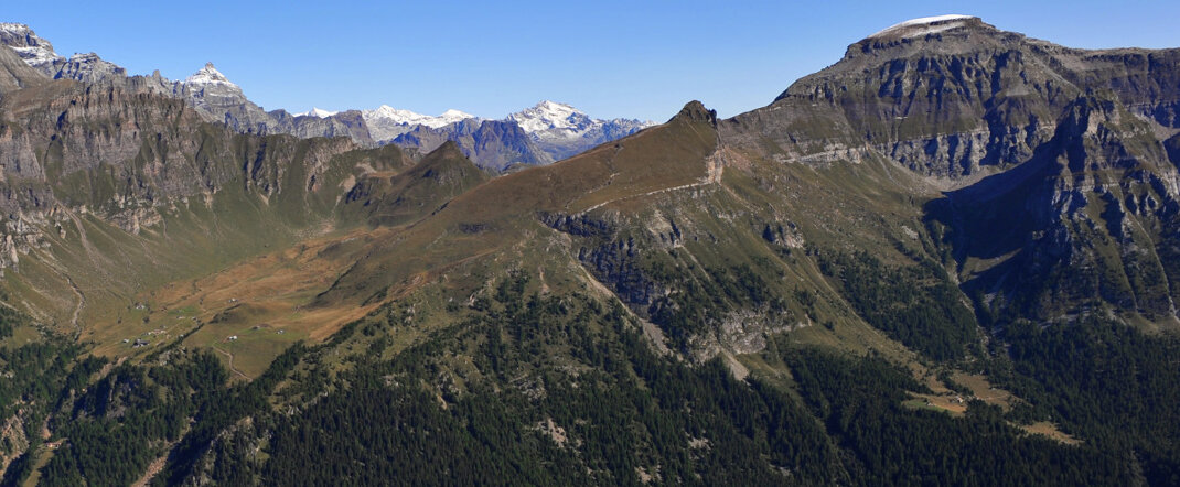 header1