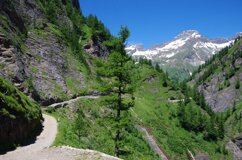 stradadelalpeveglia