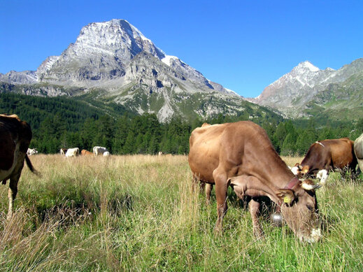 pascoloalpeveglia