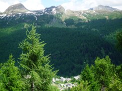 1devero_1 1devero_1