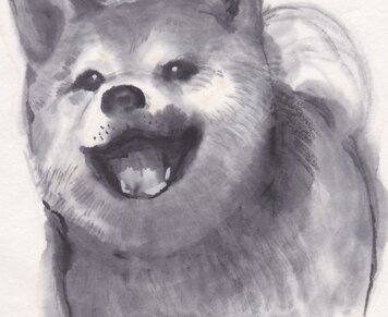 Akita Inu - Shozo Koike