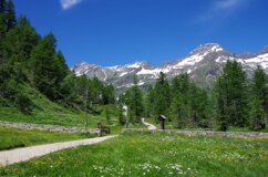 lapurtejaentrataaleveglia
