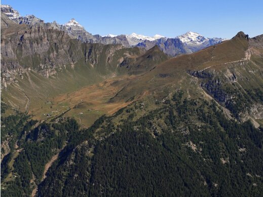 ciamporinodalteggiolo