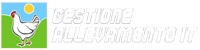 b8cd5669-a858-4058-9238-1e8d96974480