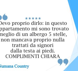 virginio2026.jpeg