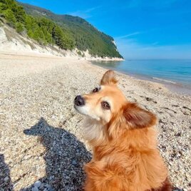 8f1fa21c-055e-457e-b3af-9a8718f36bbd