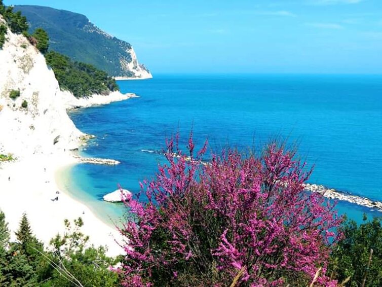 86f99d2c-4bec-43b9-91e1-3393d8850ba3 86f99d2c-4bec-43b9-91e1-3393d8850ba3