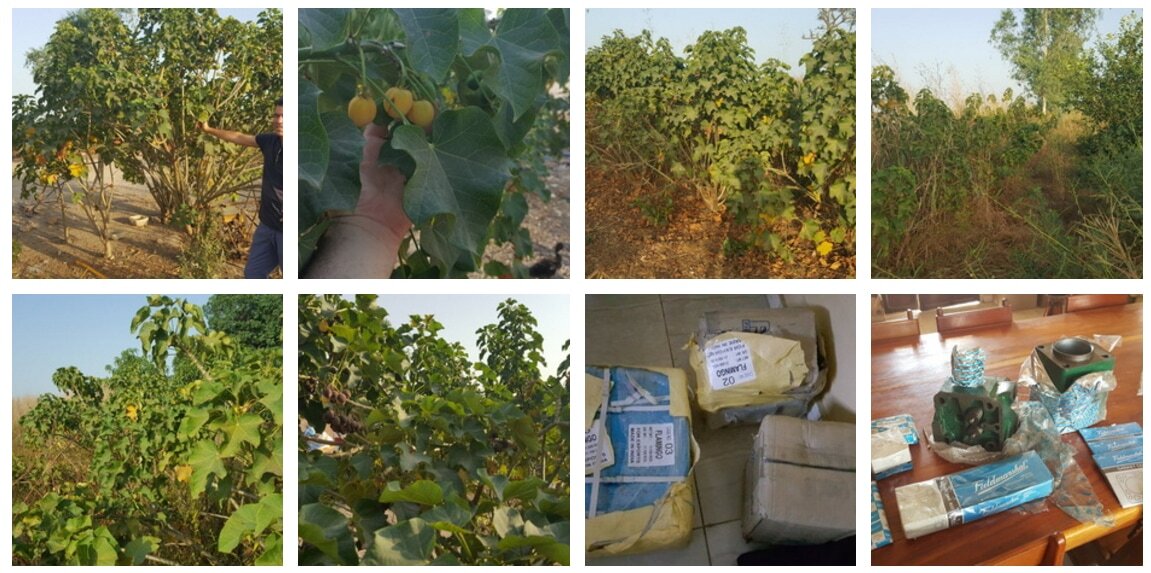 35f76754-7d2b-43bc-a096-554da7eae7be