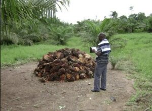immagine%202026-09-03%20104035.jpeg