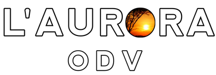 e8ab6983-921f-43fc-8fcd-4085aecc93b6