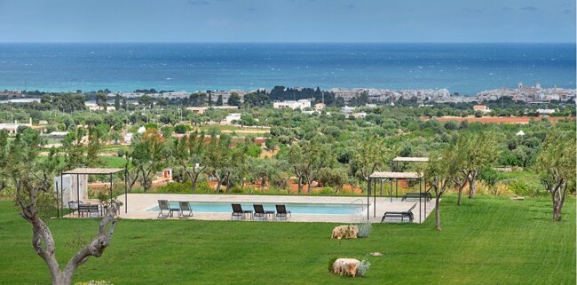 3e8b5036-0eb6-43b4-bc0c-8820fba2f19a