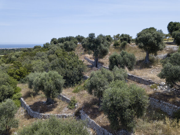 157c593d-0f9c-4096-9306-16f8ca2019b1