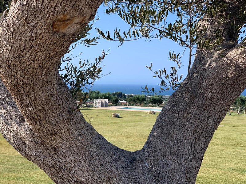 Nel cuore della Puglia.Villa Serra de Citris. La vacanza di lusso a Polignano.